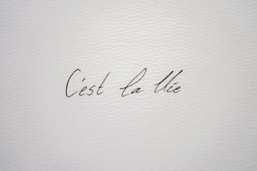 Close-up of handwritten calligraphy text 'C'est la Vie' on textured paper, perfect for backgrounds.